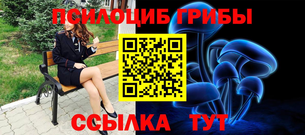 Красноярск  даркнет сайт  Вход с VPN  Псилоцибиновые грибы MAGIC MUSHROOMS 