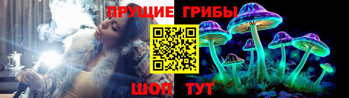 Галлюциногенные грибы Psilocybine cubensis Красноярск
